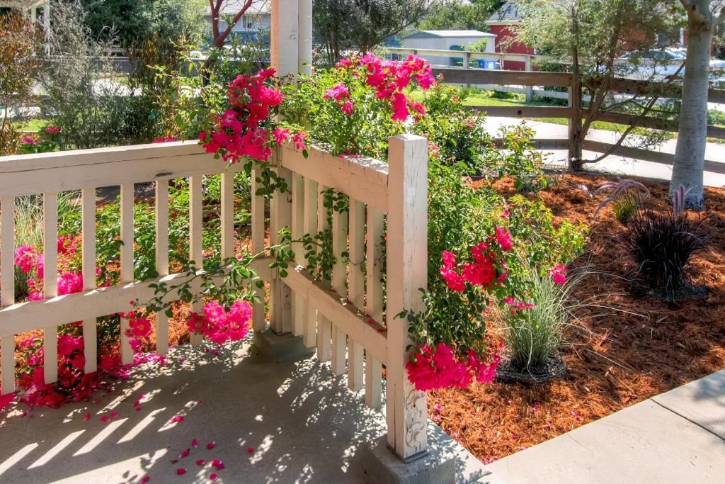 Serene Bungalow-Style Home In Point Reyes Station! 外观 照片